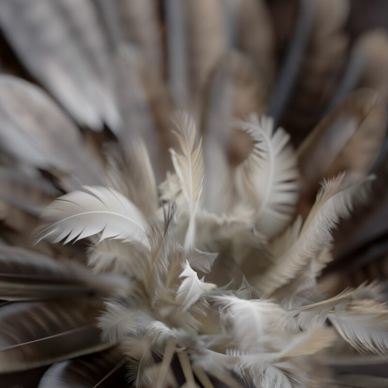 Houdini FX – Image 4