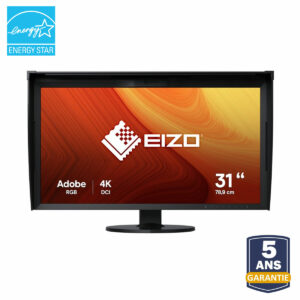 EIZO ColorEdge CG319X display 21" 4096 x 2160